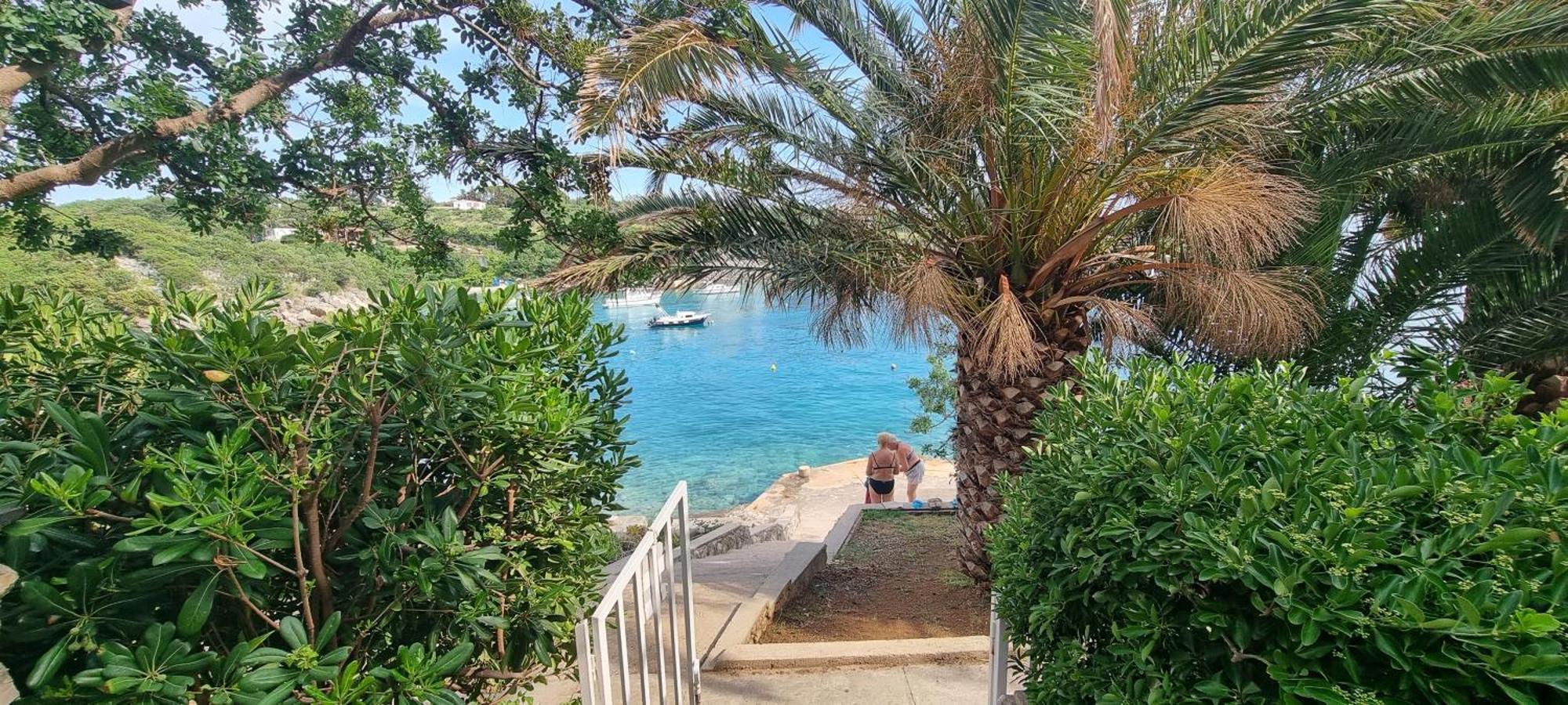 Apartments Anica Beber Borovići المظهر الخارجي الصورة