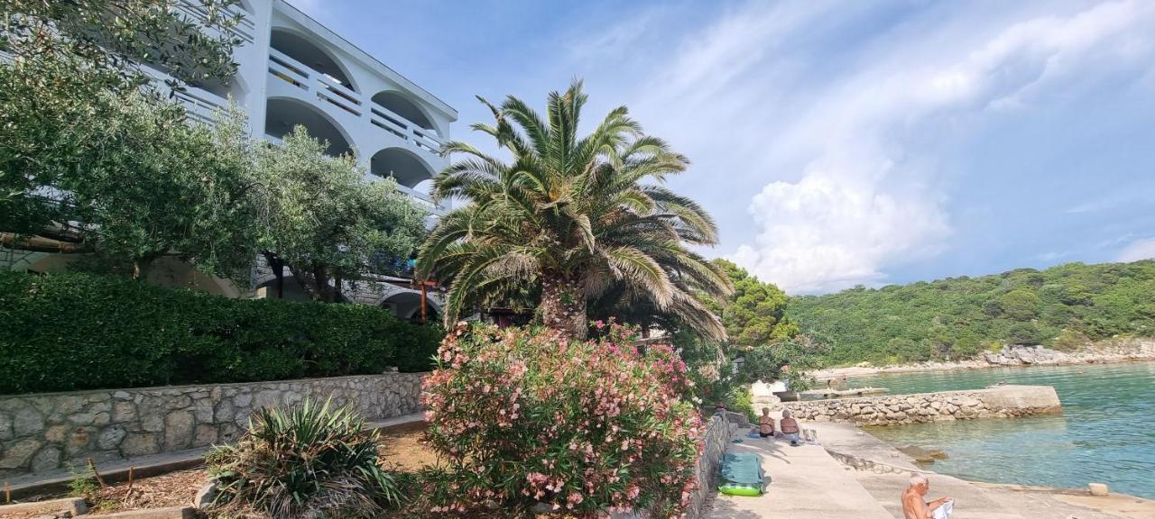 Apartments Anica Beber Borovići المظهر الخارجي الصورة