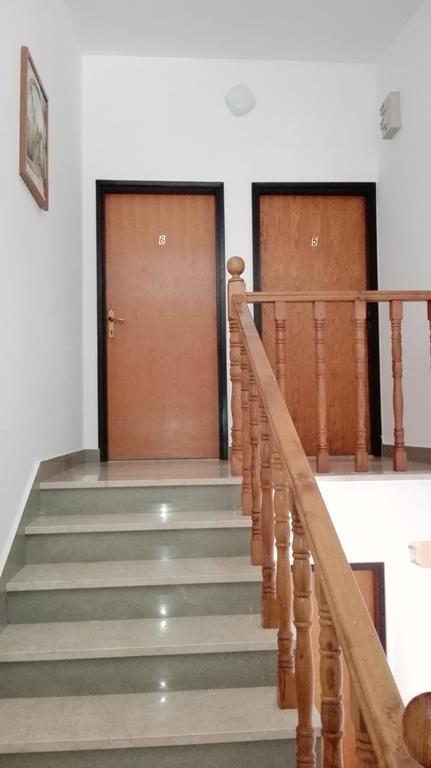 Apartments Anica Beber Borovići المظهر الخارجي الصورة