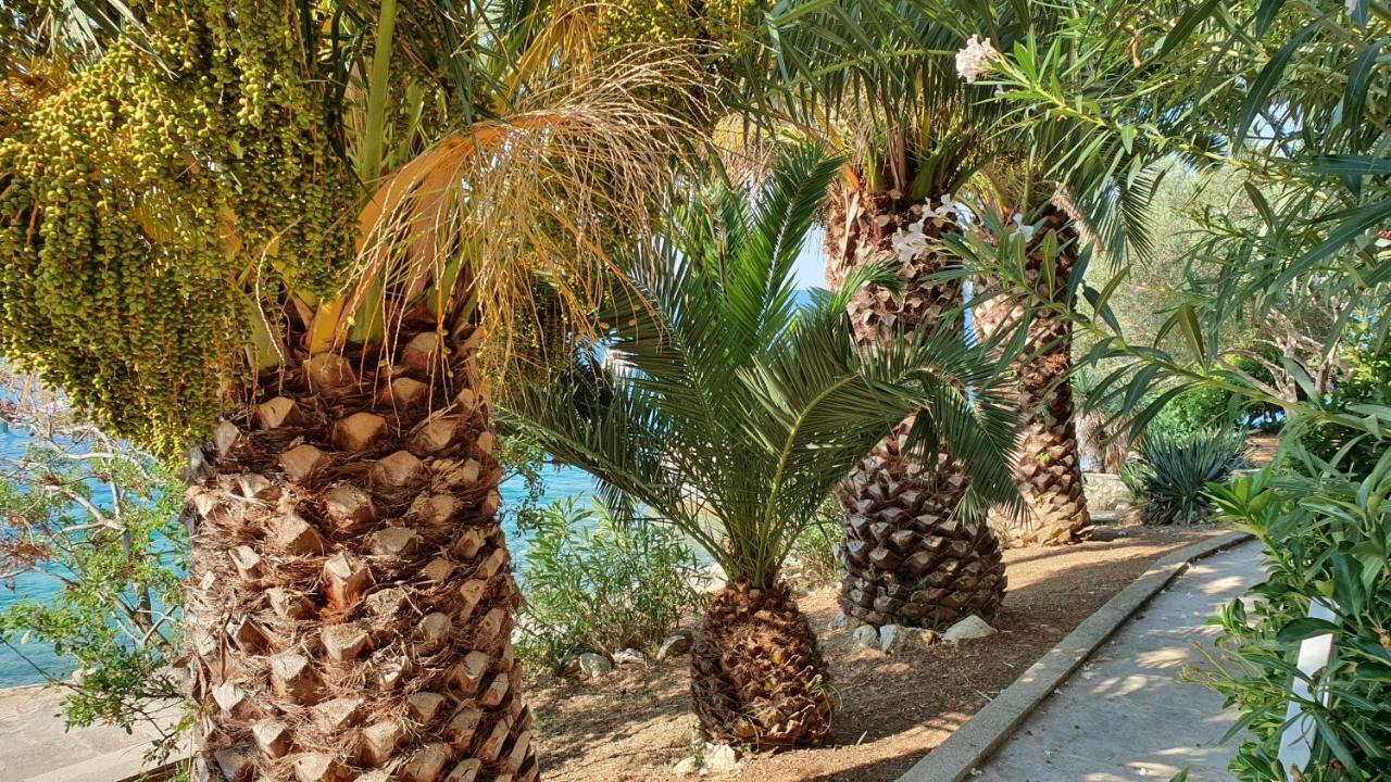 Apartments Anica Beber Borovići المظهر الخارجي الصورة